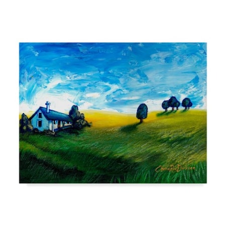 Cherie Roe Dirksen 'Countryside Cottage' Canvas Art,35x47